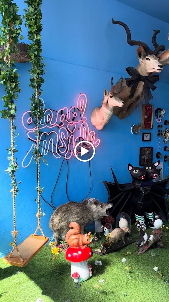 Pixley's Oddities Videos in San Diego, California