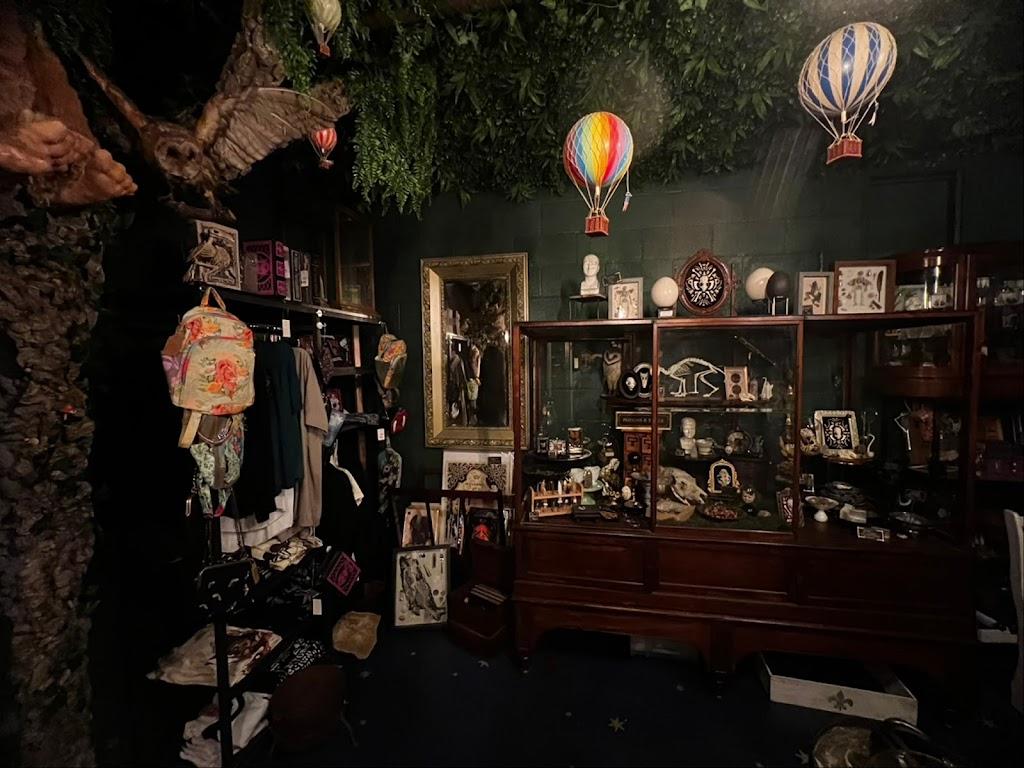 Dark Mark Arts Inside in Albuquerque, New Mexico