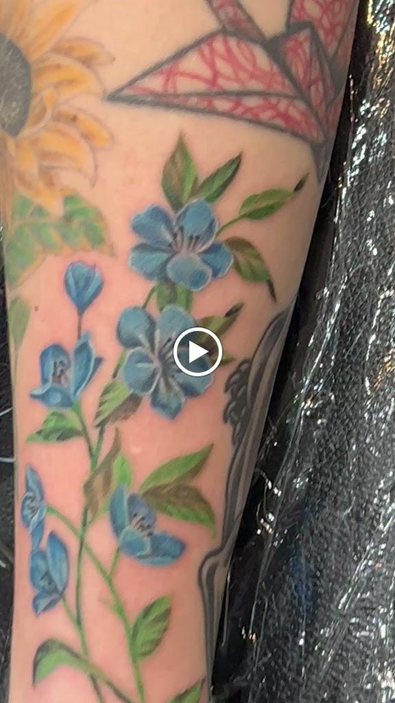 The Skin Museum Videos in Shorewood, Wisconsin