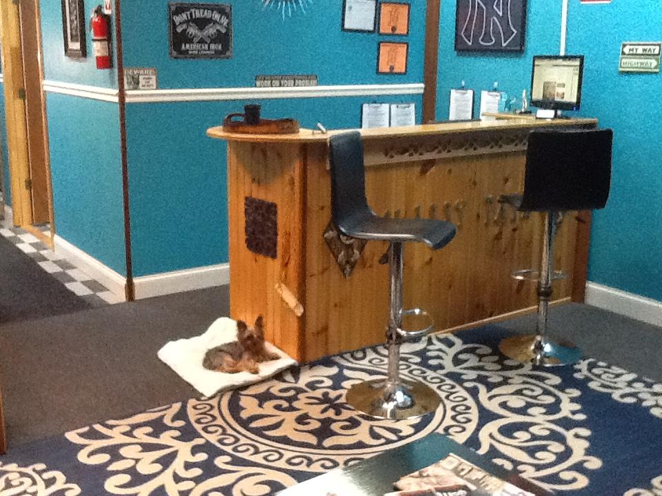 Classy Tatz Tattoo & Body Piercing Studio