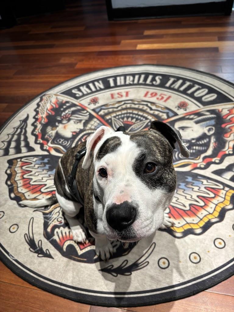 Skin Thrills Tattoo & Body Piercing Studio