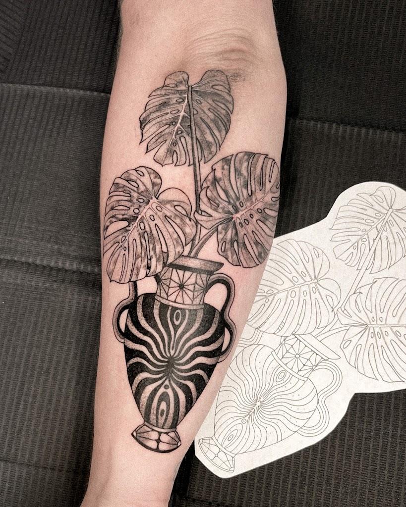 Plantas and Tinta By owner in Tampa, Florida