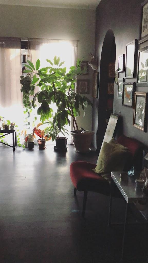 Aether Tattoo Club Inside in Bozeman, Montana