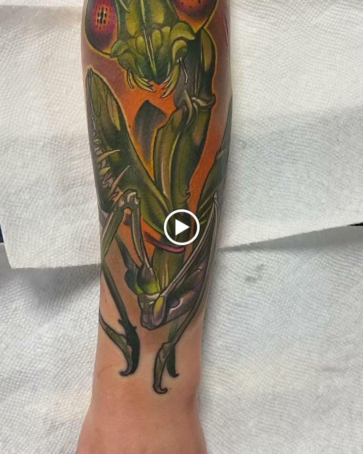 2D INK Videos in Minot, North Dakota