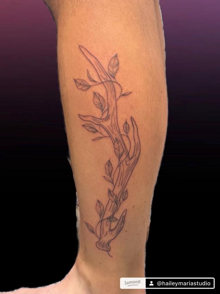 Hailey Maria Studio Latest in Cheyenne, Wyoming