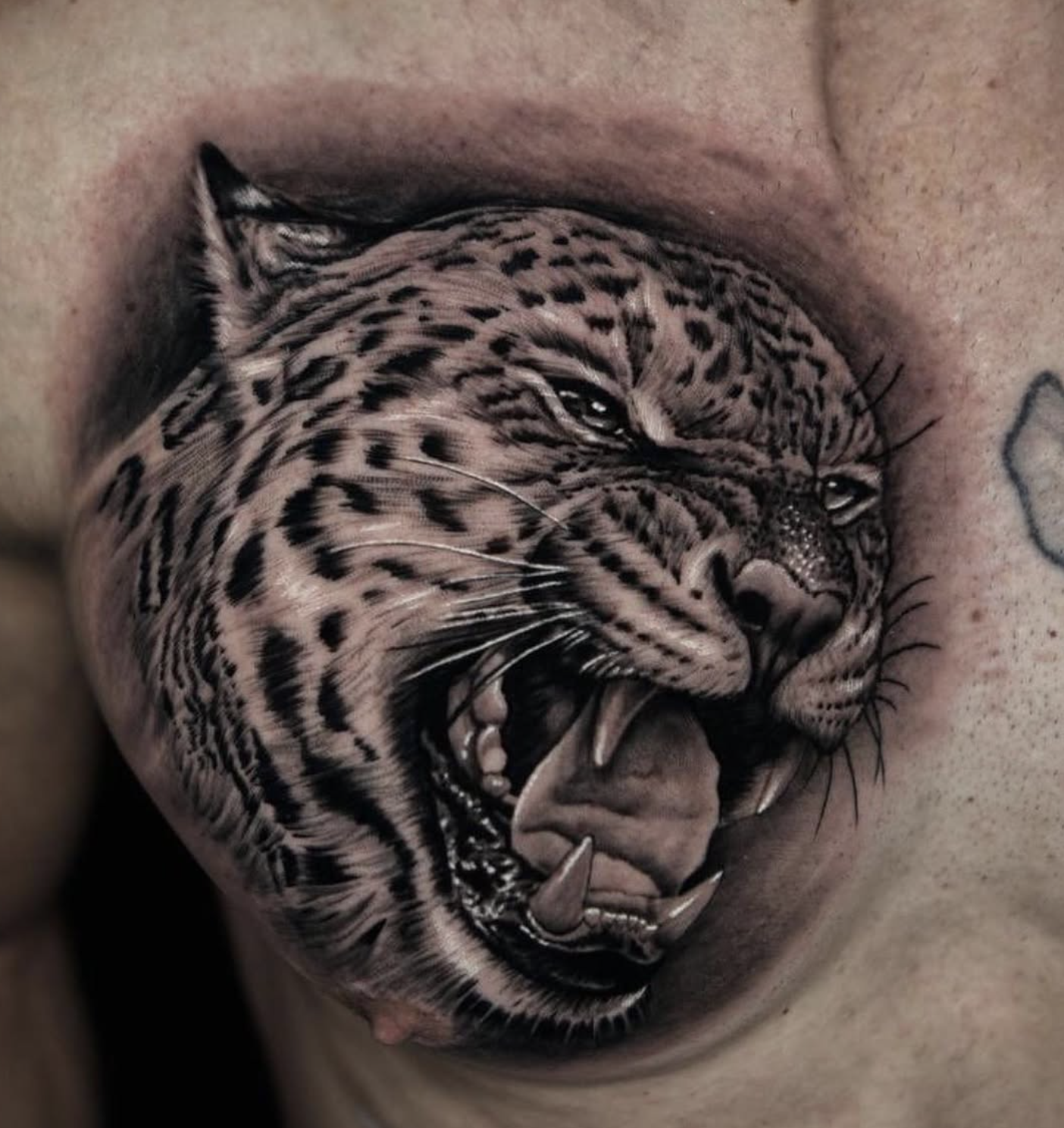 Artefex Tattoo Studio